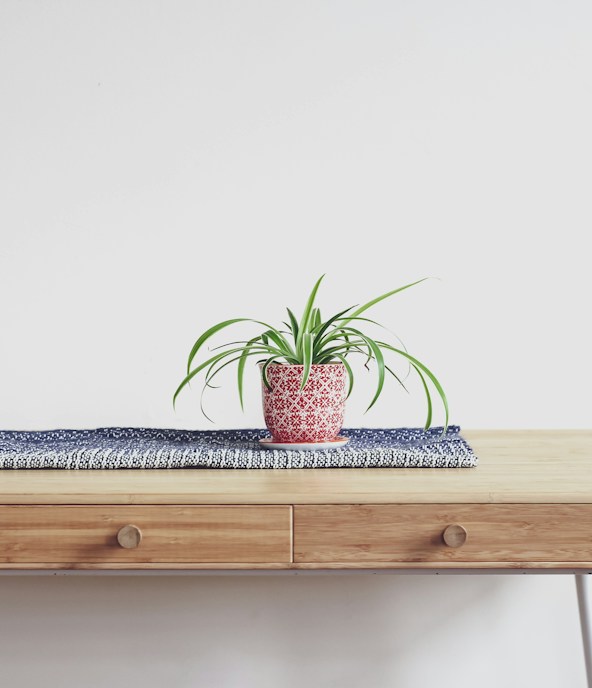 Noma Dining Table